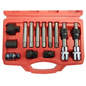 Jgo. Dados Alternador Y Poleas 13 Pz